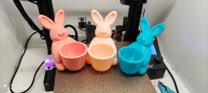 Easter Bunny Holder