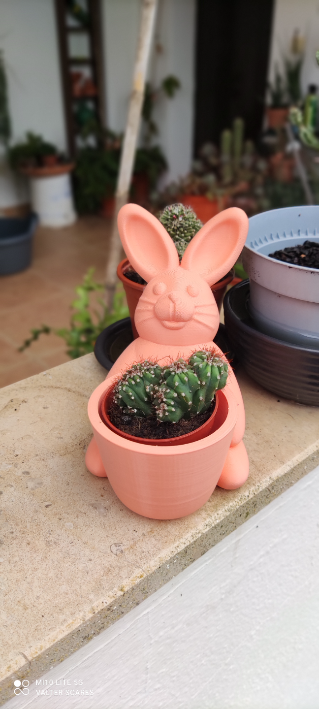 Easter Bunny Holder